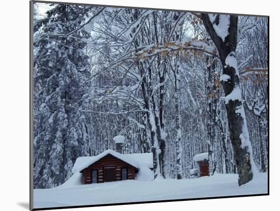 Log Cabin in Snowy Woods, Chippewa County, Michigan, USA-Claudia Adams-Mounted Photographic Print