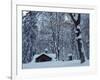 Log Cabin in Snowy Woods, Chippewa County, Michigan, USA-Claudia Adams-Framed Photographic Print