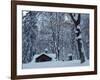 Log Cabin in Snowy Woods, Chippewa County, Michigan, USA-Claudia Adams-Framed Photographic Print