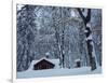 Log Cabin in Snowy Woods, Chippewa County, Michigan, USA-Claudia Adams-Framed Photographic Print