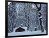 Log Cabin in Snowy Woods, Chippewa County, Michigan, USA-Claudia Adams-Framed Photographic Print