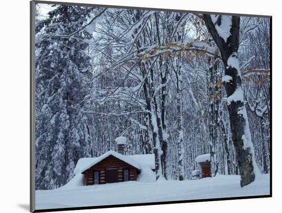 Log Cabin in Snowy Woods, Chippewa County, Michigan, USA-Claudia Adams-Mounted Photographic Print