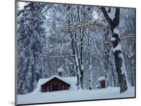 Log Cabin in Snowy Woods, Chippewa County, Michigan, USA-Claudia Adams-Mounted Photographic Print