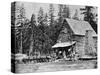 Log Cabin in Woods Used as Hotel-null-Stretched Canvas