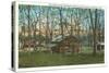 Log Cabin, Kalamazoo, Michigan-null-Stretched Canvas