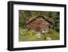 Log Cabin Kantishna, Alaska, Mnt. Denali National Park-null-Framed Photographic Print