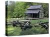 Log Cabin of John Oliver, Built in the 1820s, Great Smokey Mountains National Park, Tennessee-null-Stretched Canvas