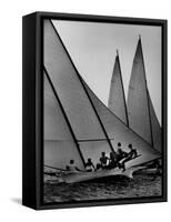 Log Canoe Sailboats Racing on the Chesapeake Bay-null-Framed Stretched Canvas