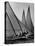 Log Canoe Sailboats Racing on the Chesapeake Bay-null-Stretched Canvas