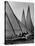 Log Canoe Sailboats Racing on the Chesapeake Bay-null-Stretched Canvas