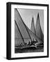 Log Canoe Sailboats Racing on the Chesapeake Bay-null-Framed Premium Photographic Print