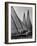 Log Canoe Sailboats Racing on the Chesapeake Bay-null-Framed Photographic Print