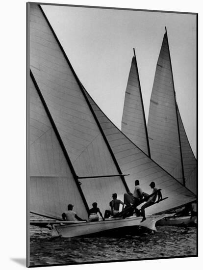 Log Canoe Sailboats Racing on the Chesapeake Bay-null-Mounted Photographic Print