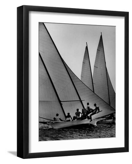 Premium Photographic Print, , large