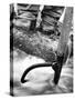 Log Driver's Feet Using a Peavey, to Control Lumber Floating Down River Headed for Paper Mill-Margaret Bourke-White-Stretched Canvas