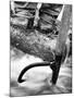 Log Driver's Feet Using a Peavey, to Control Lumber Floating Down River Headed for Paper Mill-Margaret Bourke-White-Mounted Photographic Print