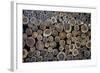 Log Ends-Charles Bowman-Framed Photographic Print