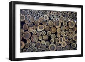 Log Ends-Charles Bowman-Framed Photographic Print