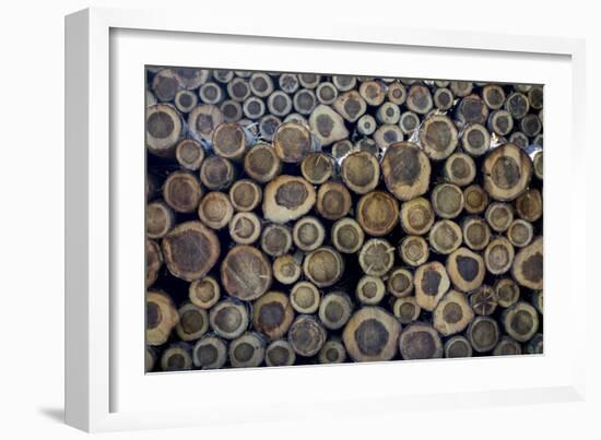 Log Ends-Charles Bowman-Framed Photographic Print