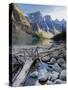 Log Jam on Moraine Lake, Banff National Park, UNESCO World Heritage Site, Alberta, Rocky Mountains,-Martin Child-Stretched Canvas