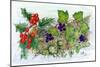 Log of Ivy, Holly and Hazelnuts-Nell Hill-Mounted Giclee Print