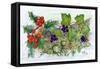 Log of Ivy, Holly and Hazelnuts-Nell Hill-Framed Stretched Canvas