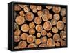 Log Pile, Val D'Herens, Valais, Switzerland, Europe-Angelo Cavalli-Framed Stretched Canvas