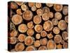 Log Pile, Val D'Herens, Valais, Switzerland, Europe-Angelo Cavalli-Stretched Canvas