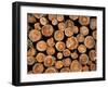 Log Pile, Val D'Herens, Valais, Switzerland, Europe-Angelo Cavalli-Framed Photographic Print