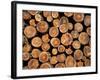 Log Pile, Val D'Herens, Valais, Switzerland, Europe-Angelo Cavalli-Framed Photographic Print