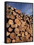Log Pile, Val D'Herens, Valais, Switzerland, Europe-Angelo Cavalli-Framed Stretched Canvas