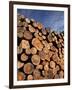 Log Pile, Val D'Herens, Valais, Switzerland, Europe-Angelo Cavalli-Framed Photographic Print