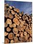 Log Pile, Val D'Herens, Valais, Switzerland, Europe-Angelo Cavalli-Mounted Photographic Print
