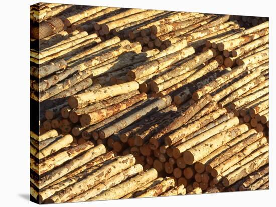 Log Stacks, Marlborough Sounds, South Island, New Zealand-David Wall-Stretched Canvas