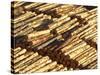 Log Stacks, Marlborough Sounds, South Island, New Zealand-David Wall-Stretched Canvas