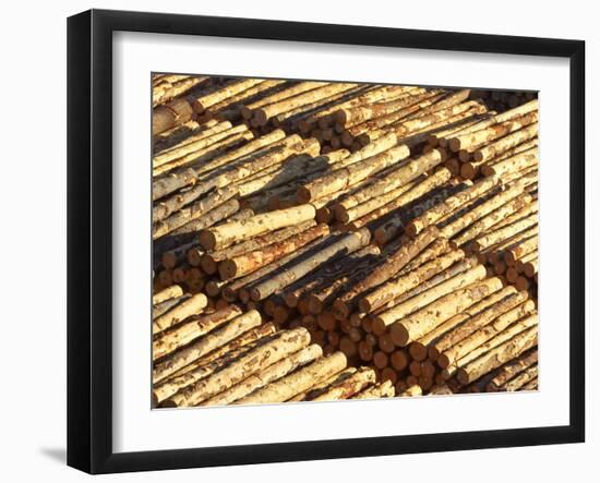 Log Stacks, Marlborough Sounds, South Island, New Zealand-David Wall-Framed Photographic Print