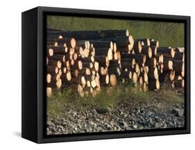 Log Storage, Wards Cove, Ketchikan, Alaska, USA-Savanah Stewart-Framed Stretched Canvas