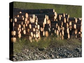 Log Storage, Wards Cove, Ketchikan, Alaska, USA-Savanah Stewart-Stretched Canvas