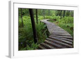 Log Walkway in Forest, New Brunswick, Canada-Ellen Anon-Framed Photographic Print