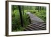 Log Walkway in Forest, New Brunswick, Canada-Ellen Anon-Framed Photographic Print