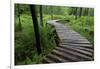 Log Walkway in Forest, New Brunswick, Canada-Ellen Anon-Framed Photographic Print