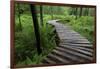Log Walkway in Forest, New Brunswick, Canada-Ellen Anon-Framed Photographic Print