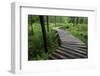 Log Walkway in Forest, New Brunswick, Canada-Ellen Anon-Framed Photographic Print