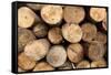 Log Wood Texture Backgrounds-photosoup-Framed Stretched Canvas