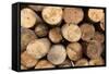 Log Wood Texture Backgrounds-photosoup-Framed Stretched Canvas