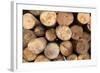 Log Wood Texture Backgrounds-photosoup-Framed Photographic Print