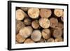 Log Wood Texture Backgrounds-photosoup-Framed Photographic Print