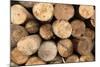 Log Wood Texture Backgrounds-photosoup-Mounted Photographic Print