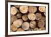 Log Wood Texture Backgrounds-photosoup-Framed Photographic Print