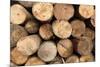 Log Wood Texture Backgrounds-photosoup-Mounted Photographic Print
